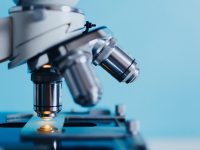 Microbiología Ambiental: Impacto y Desafíos