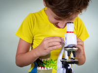 Microbiología Alimentaria: Seguridad y Calidad