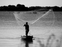 Redes Inalámbricas y Comunicaciones Móviles