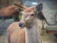 Ciberseguridad en Redes