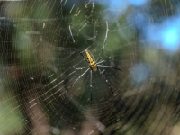 Redes Sociales y Marketing Digital