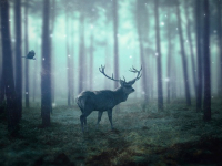 Redacción Creativa: Desarrolla tu Potencial Literario