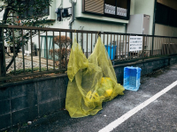Canto lírico para iniciantes