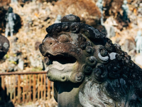 Canto popular y técnica de interpretación