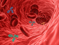 Fotografía y Composición Visual