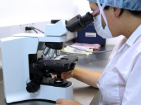 Métodos de Investigación Cualitativa