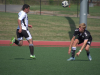 Curso de Posicionamiento SEO para Principiantes