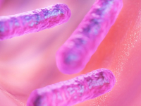 Biología Celular y Molecular