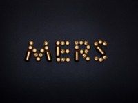 Virus Emergentes y Reemergentes