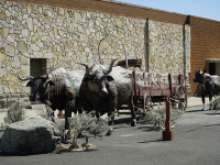 Escultura en Madera: Tallado y Relieve