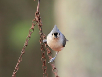 Fotografía de Paisajes Naturales