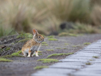 Fotografía de Moda: Estilo y Creatividad