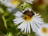 Fotografía Documental: Contando Historias Visuales