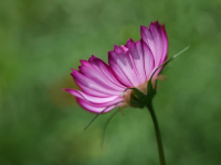 Iluminación arquitectónica y decorativa