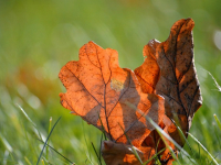 Iluminación para eventos y espectáculos