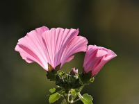 Iluminación para cine y televisión