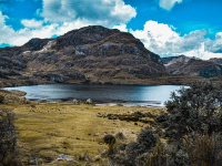 Biodiversidad y Conservación