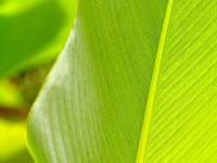 Gestión Ambiental Corporativa