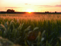 Diseño de Personajes Animados