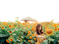 Modelado para impresión 3D