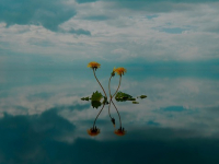 Introducción al Renderizado en 3D