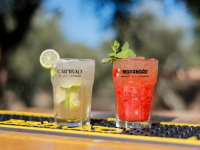 Curso de Mixología Clásica