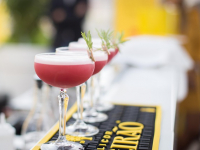 Curso de Coctelería Molecular