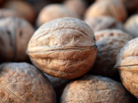 Nutrición Deportiva