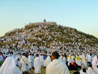 Guía Profesional de Montañismo