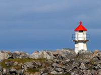 Guía de Jardinería para Principiantes