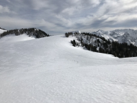 Guía de Nutrición y Dietética