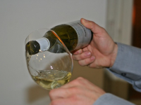 Sumiller Internacional: Descubriendo los vinos del Nuevo Mundo