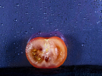 Introducción a la dietética vegetariana