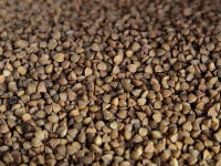 Dietética y nutrición infantil