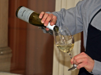 Sumiller Sommelier: Arte de la degustación y maridaje gourmet