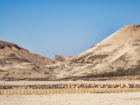 Historia Antigua: De las civilizaciones egipcia y mesopotámica a Grecia y Roma