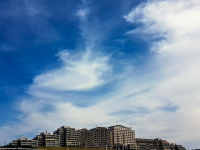 Gestión de Servicios de Alimentos y Bebidas