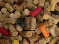 Enología Sostenible