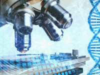 Gestión de Servicio al Cliente en Hospitalidad