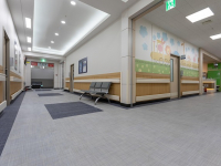 Sostenibilidad en la Industria Hotelera