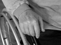 Gestión del tráfico y transporte