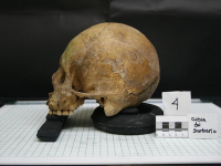 Antropología de la Alimentación