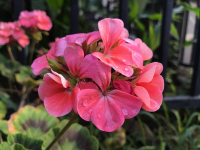 Movilidad y accesibilidad universal