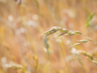Movilidad en ciudades inteligentes