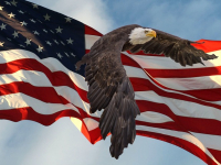 Introducción al Gobierno y Política