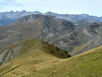 Buceo recreativo: explorando el mundo submarino