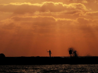 Inglés para la vida diaria