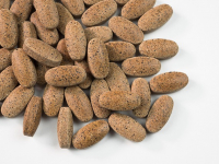 Anatomía humana para principiantes