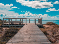 Portugués avanzado: literatura y cultura