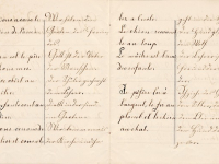 Traducción Médica: Salvando Vidas con Palabras